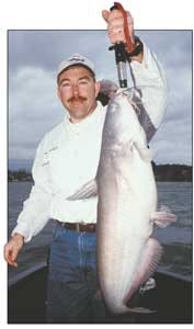 Lake Norman blue catfish are great winter targets