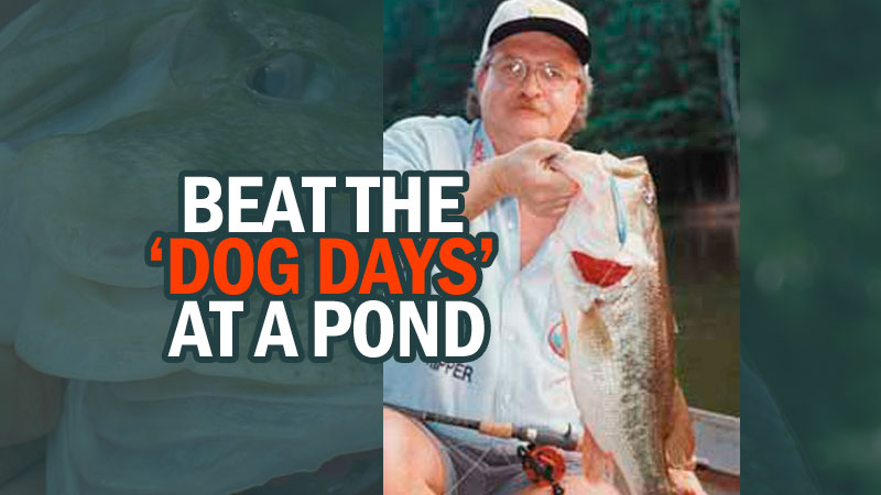 August is not a terribly fun month to fish. There’s a reason it’s called “dog days.”