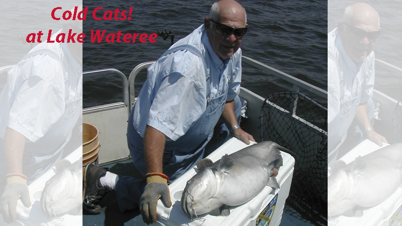 Wateree