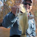 When herring move to the bank to spawn, often late in March, bass will follow, and a big topwater plug like a Zara Spook can be a real fish-catcher.