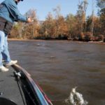 Wind-blown banks, especially on the northern side of the lake, will hold more active fish early in the month than other areas.