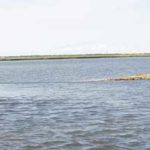 Channels near oyster rocks are places to find speckled trout.