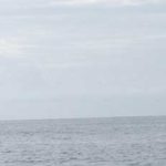 Early-morning trips offshore at the southeastern coast during July usually are marked by calm seas. These two fishing boats trolled side by side when an angler (bow of boat on right) hooked into a king mackerel.