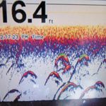 Marking baitfish on the graph with crappie suspended in them is a good sign when long-line trolling.