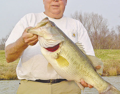 North Carolina Best Springtime Bass Fishing Baits, NC