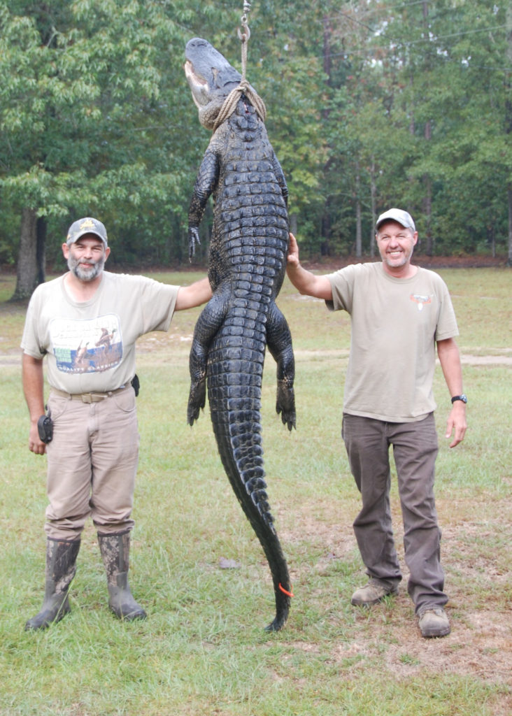 Casting for Gators in South Carolina