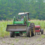 Mixing annual and perennial plantings in a food plot will provide deer and other wildlife with a constant source of nourishment.