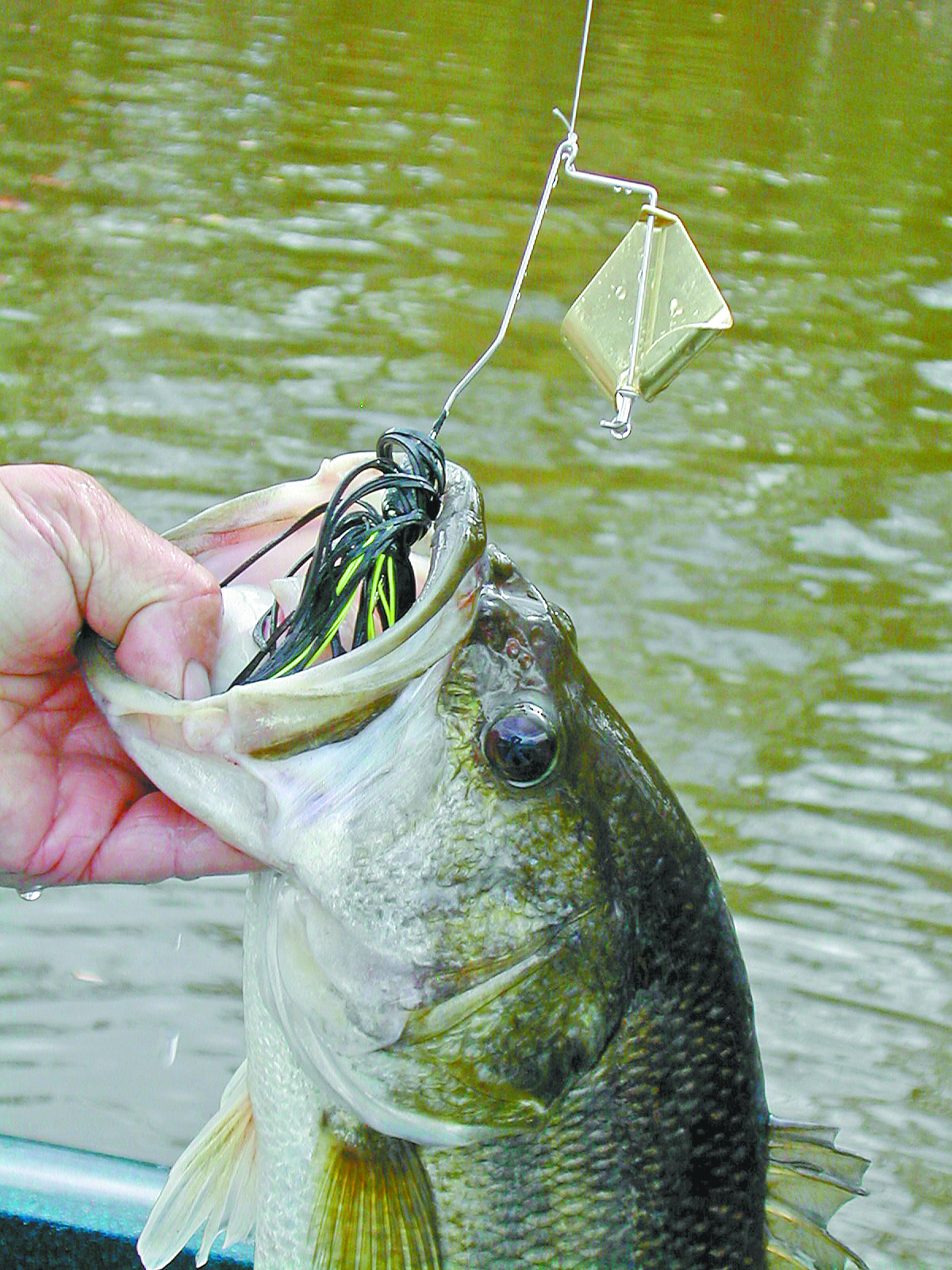 best baitcasting reel for beginners 2015 Micro 6.7 oz, Smooth Cast – Ultralight Freshwater – Traverseon Category_Offshore Squid Jigging Swimbaits | Bass Fishing perfect 40mm body for Color:Green Apple