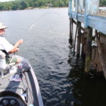 Shooting mini-jigs under boat docks is a great way to catch crappie at the peak of the spawn and afterwards.