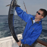 Wahoo are migratory predators that arrive off North Carolina in March.