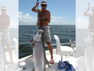 tarpon