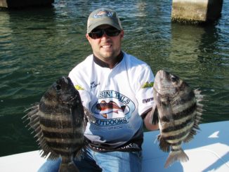 sheepshead