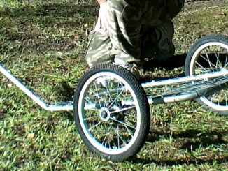 game cart