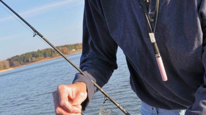 Best baits for catching Arkansas blues or flathead catfish