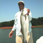 Guide Preston Harden catches plenty of big stripers on live bait.