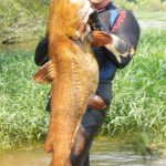 Paul Cleveland with a 51-pounder flathead.