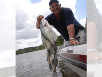 crappie