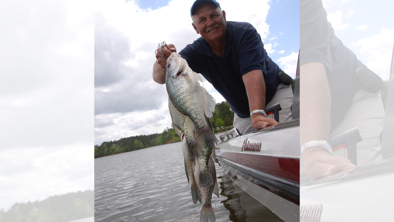 crappie