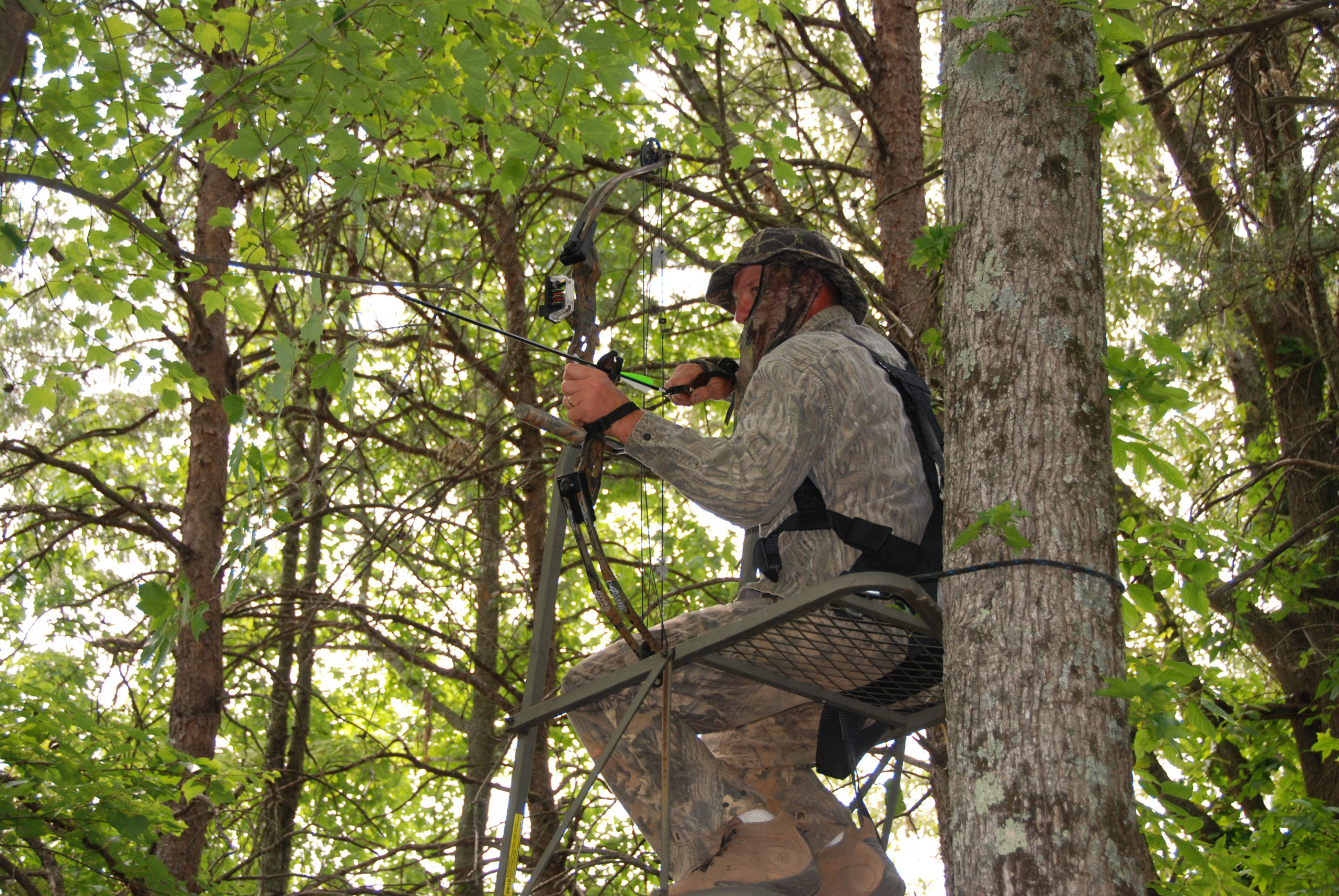 Archery hunters have plenty of opportunities on public land along South