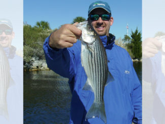 stripers