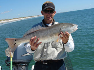 redfish