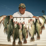 Guide Kevin Davis shows off the kind of crappie he expects to catch in the fall: plenty of fish in the 1- to 2-pound range, and several pushing three pounds or better.