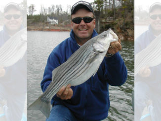 stripers