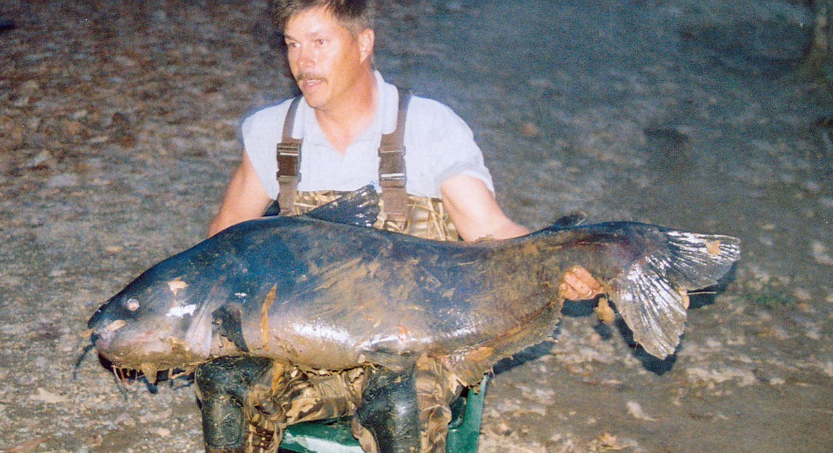 International Fishing News: USA: big alligator with rod 