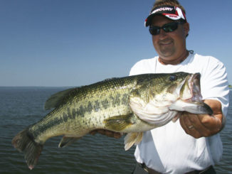 Santee Cooper bass