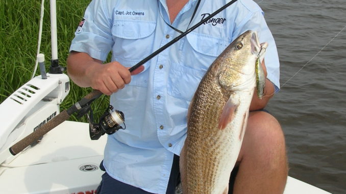 Make the correct fishing gear choices for red drum