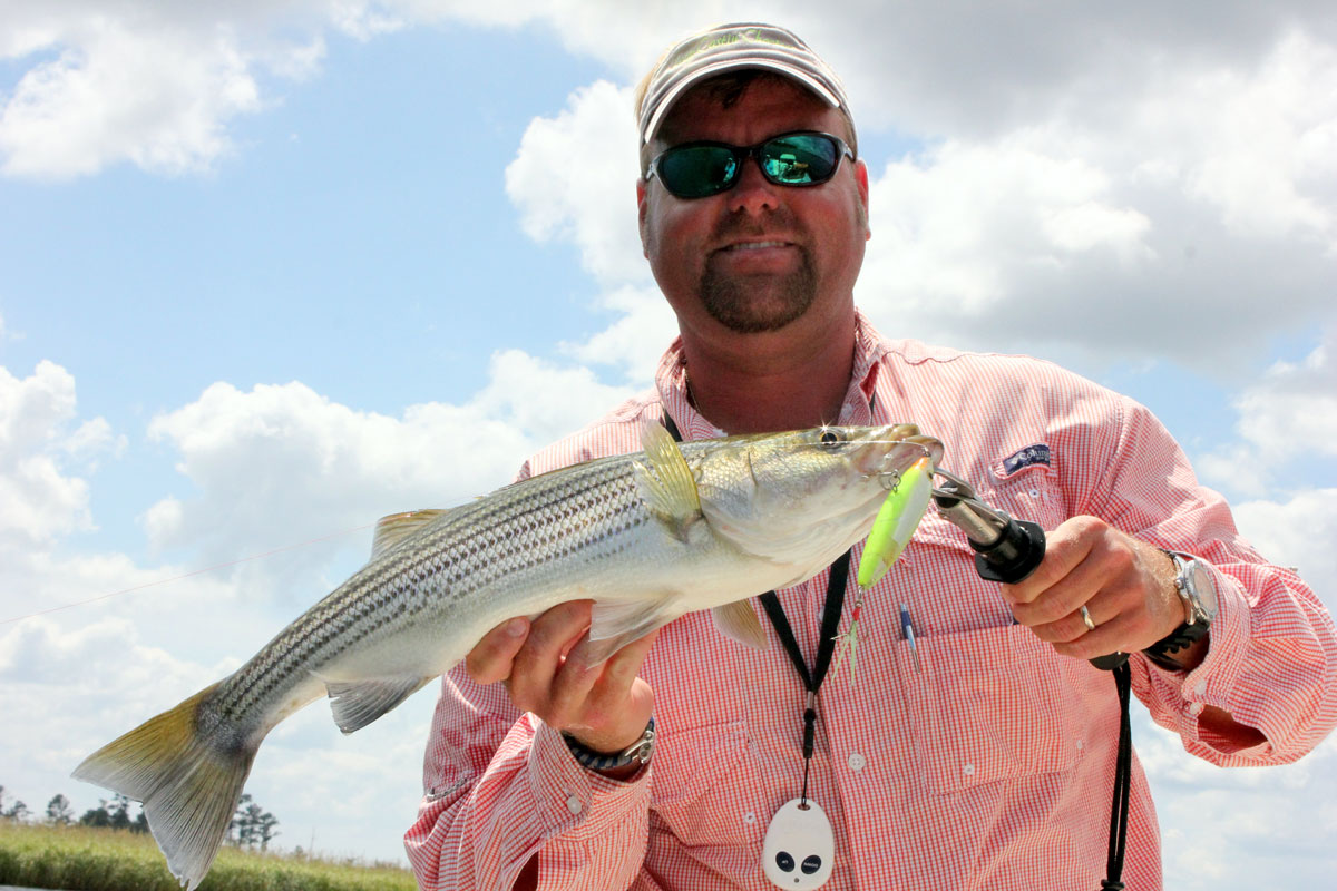 Hot is what Neuse River summer stripers are all about