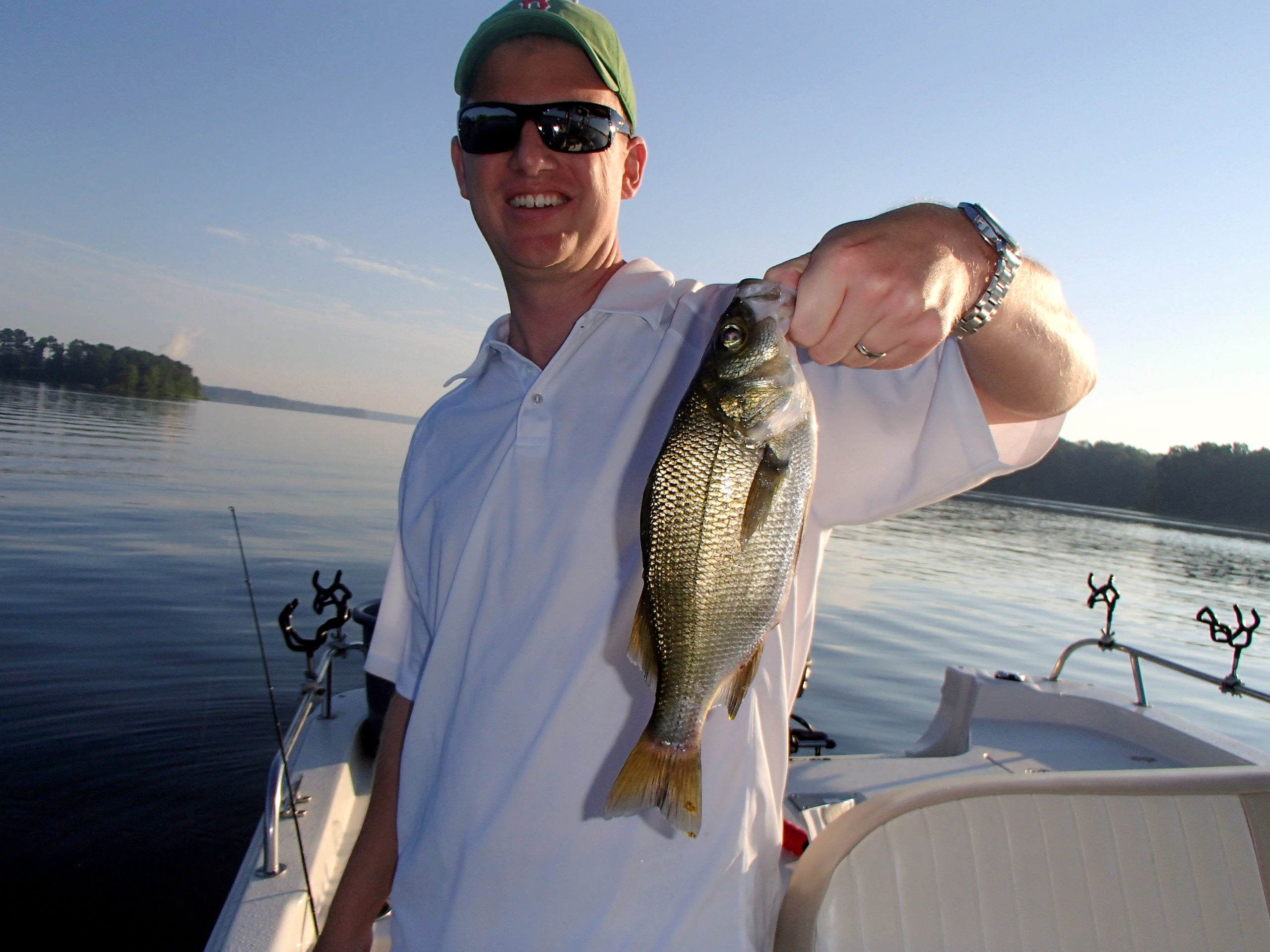 White perch are providing fishermen at North Carolina's Shearon Harris Lake  with another summer target