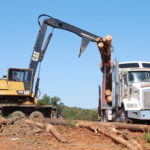 Once cut down and pulled to the log deck, trees are loaded on trucks by a loader.