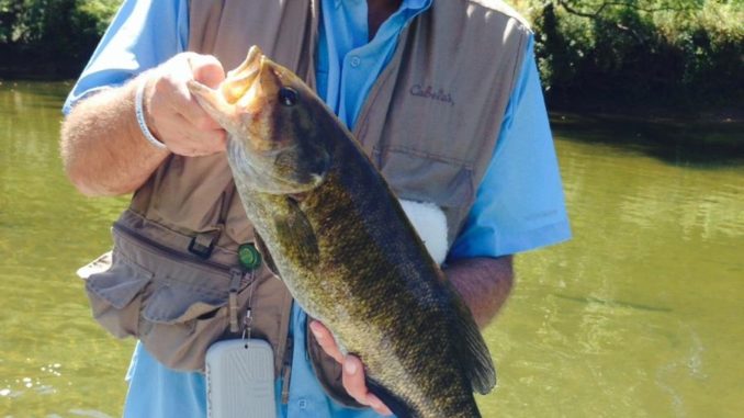 Warmer water has New River smallmouth bass back on their feed