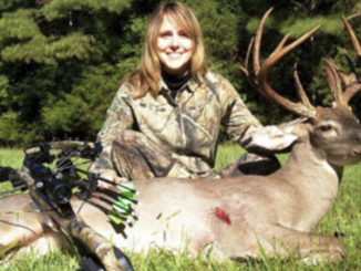 crossbows