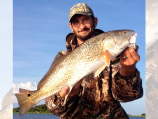 redfish