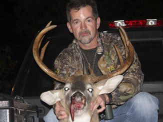 bucks