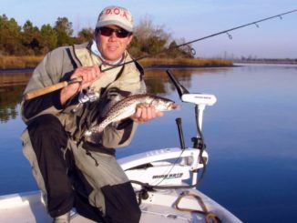 speckled trout