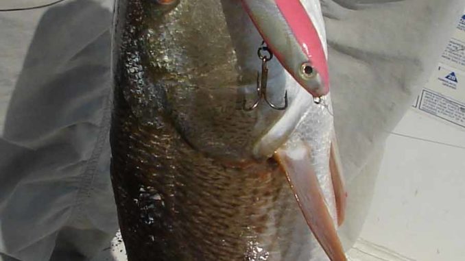 Customizing lures for redfish