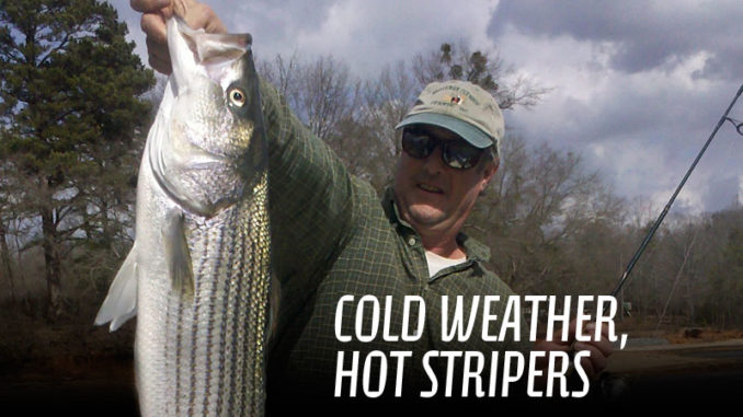 For hot striper action, look to the cold waters of South Carolina's Lake  Hartwell