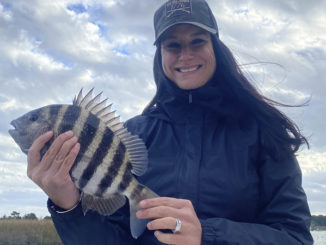 sheepshead