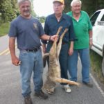 Once in a while, a chase will result in hunters getting a shot at a coyote.