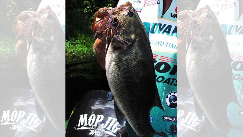 Mop jig lure