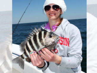 sheepshead