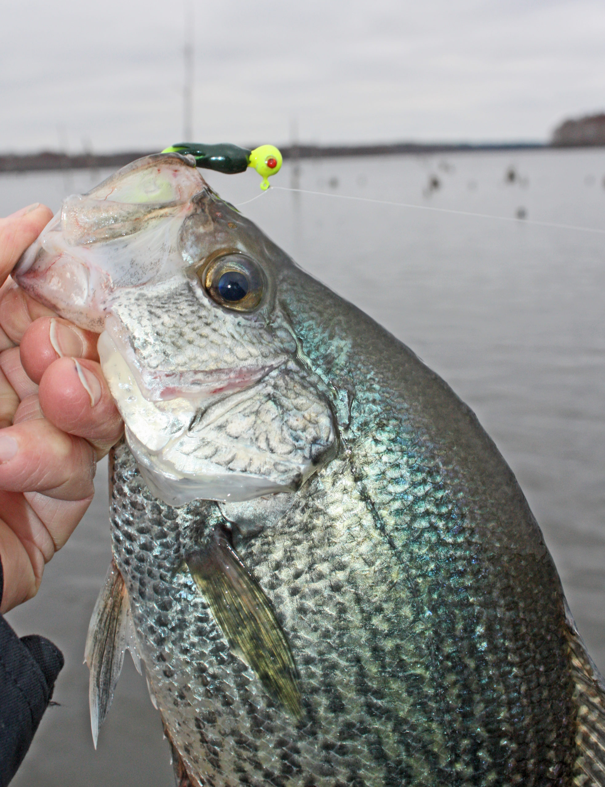 Crappie like different jigs at different times, and top anglers know when