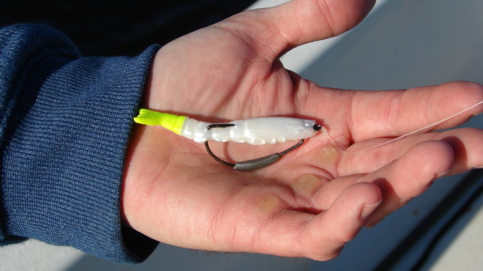 Fishing weedless for red drum