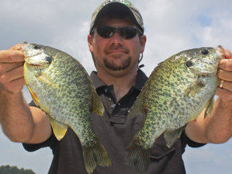 bream