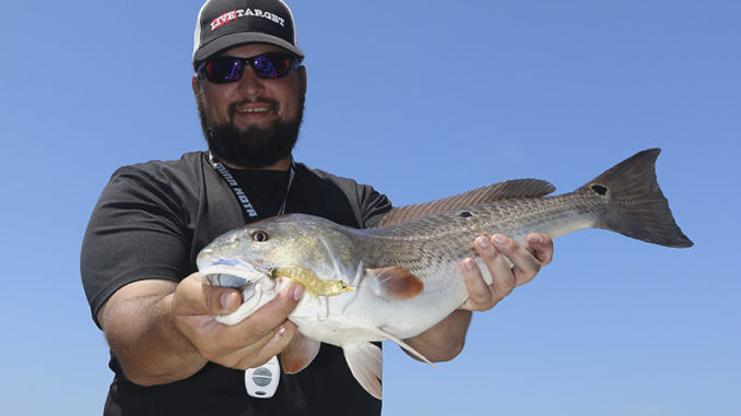 redfish