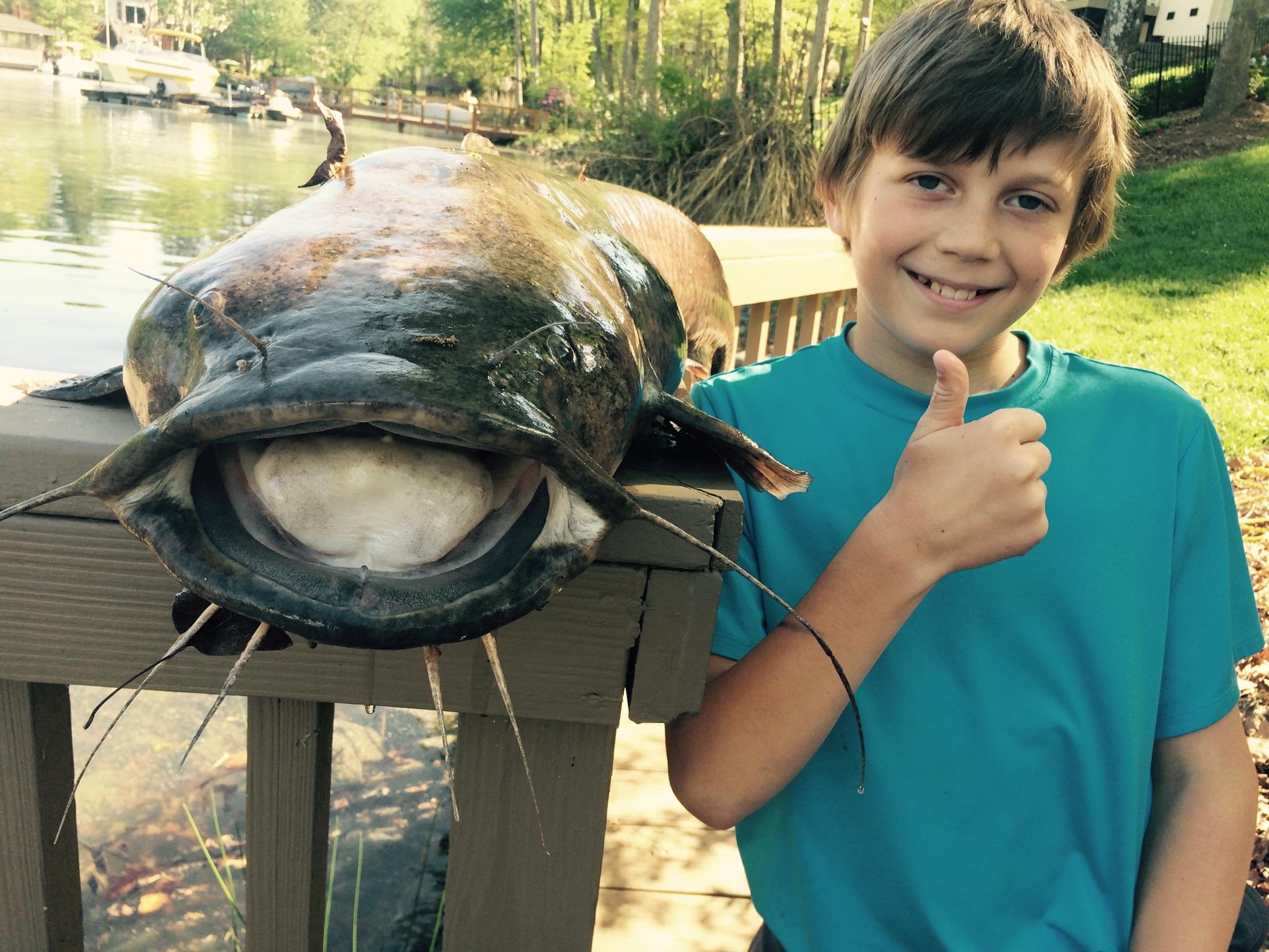 Lazy Lake Norman flathead catfish meets 10-year-old boy with a net