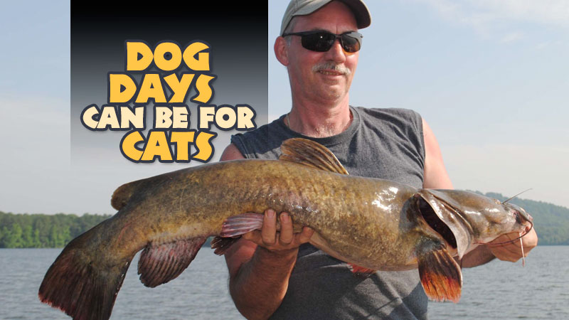August may be known as the dog days, but it’s actually a great time for cats, too, especially the big blues and flatheads of the Santee Cooper. Excellent largemouth and bream action on both lakes also provide opportunities if you know where and how to find them.